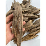 خشب العود الطبيعي النقي عالي الزيت - كهف الحشرات