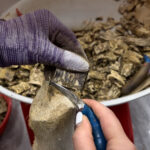 خشب العود الطبيعي النقي - أعلى درجة - Image 4