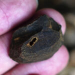 خشب العود الطبيعي النقي - أعلى درجة (Copy) - Image 4