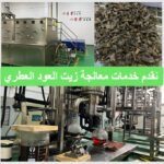 خشب العود الطبيعي النقي - راتنج يتكون بشكل طبيعي في أغصان أشجار العود (Copy) (Copy) (Copy) (Copy) (Copy)