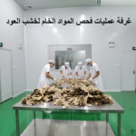 خشب العود الطبيعي النقي - راتنج يتكون بشكل طبيعي في أغصان أشجار العود (Copy) (Copy) (Copy) (Copy) (Copy) - Image 3